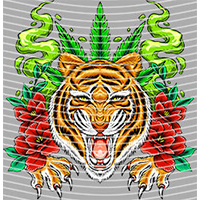 Cartoons and other-CO 1296